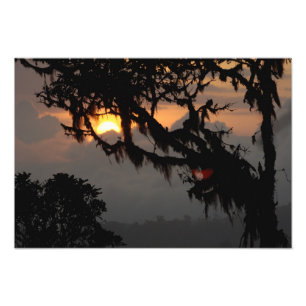 Foto América do Sul, Equador, cena da floresta nublada 