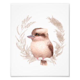 Foto Amigos australianos pequenos - Kookaburra