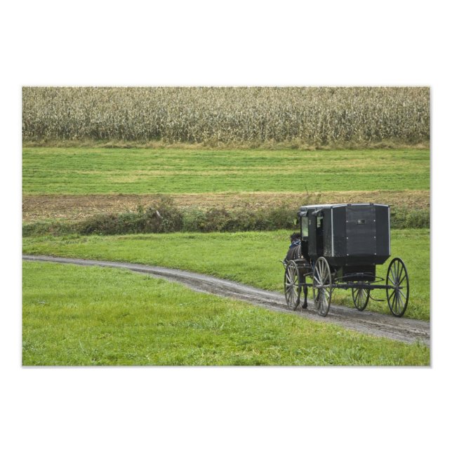 Foto Amish buggy na pista de fazenda, NortheEast Ohio, (Frente)