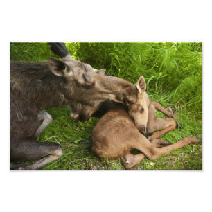 Foto Amor de Mãe