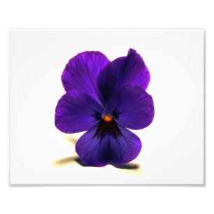 Foto Amor perfeito de Puuurrrple na meia-noite por
