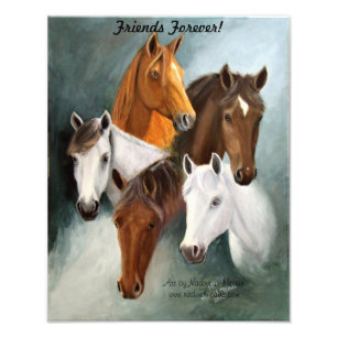 Foto Ampliação da foto, 5 cabeças de cavalo