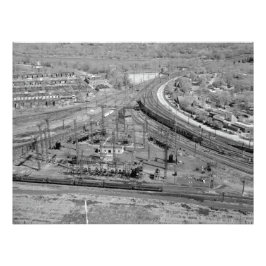 Foto Ampliação Personalizada do Kodak com Junção de Zoo