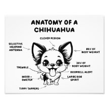 Anatomia de um Impressão de cachorro Chihuahua eng