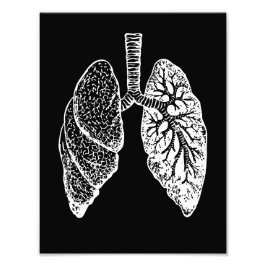 Foto Anatomia humana, pulmões negros e brancos
