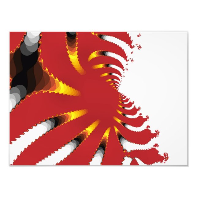 FOTO ANEMONA DO MAR ABSTRATO (Frente)