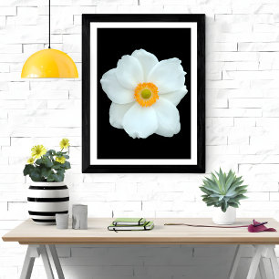 Foto Anemone branco gracioso