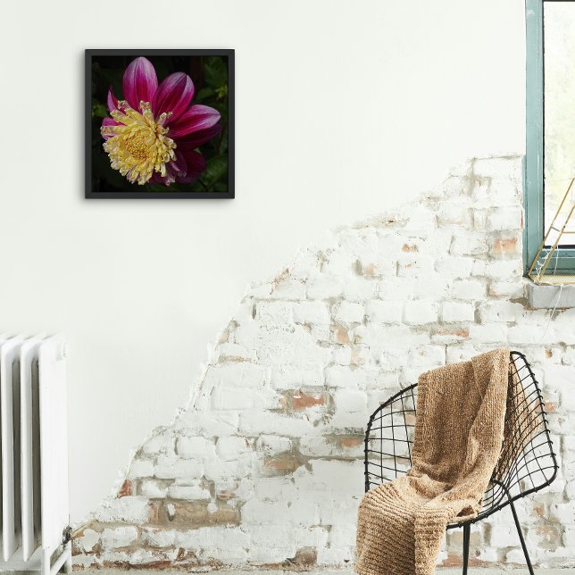Foto Anemone rosa Dahlia Bloom Floral (In Situ Framed)