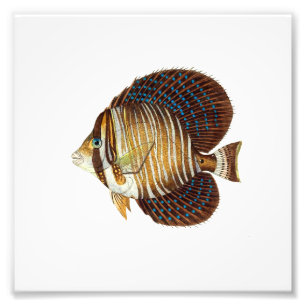 Foto Angel Fish Beach - Banheiro Náutico