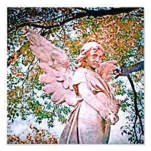 Foto Angel Grace