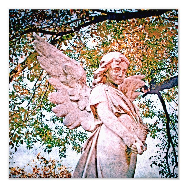 Foto Angel Grace (Frente)