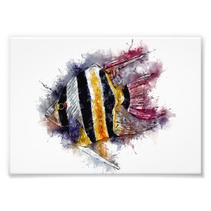 Foto AngelFish Watercolor Aquarium Sea Creature Trabalh