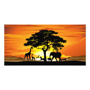 Foto Animais Selvagens no Pôr do Sol da Savana Africana