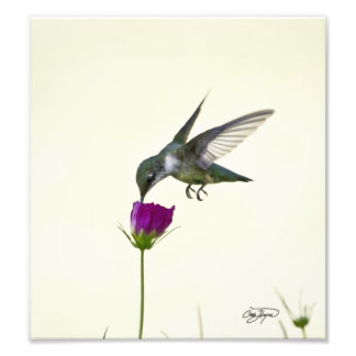 Foto Anjo em voo Arte Fotográfica