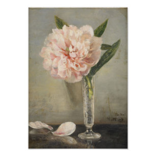 Foto Anna Munthe-Norstedt Still Life com um Pequim