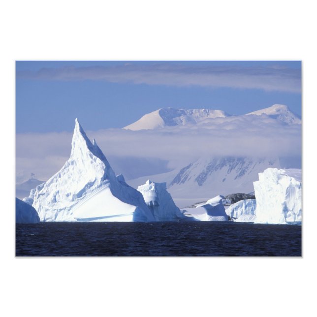 Foto Antártica, Ilha Boothe, Sol da tarde (Frente)