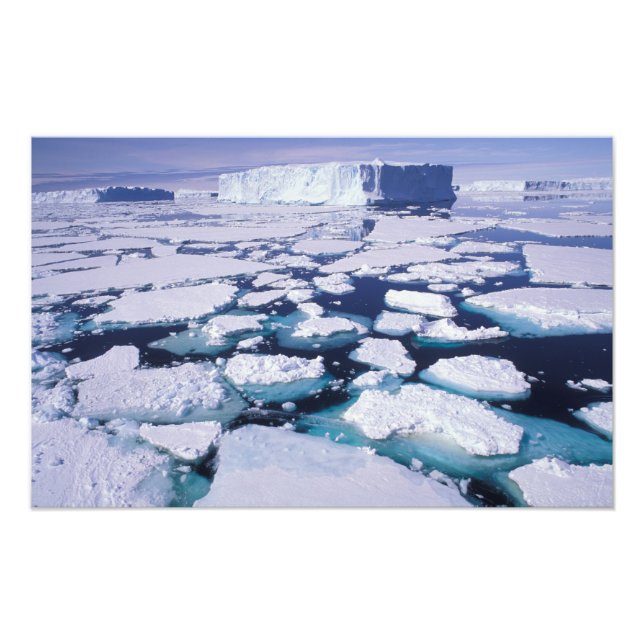 Foto Antártida, Fluxo de gelo. (Frente)