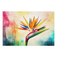 *~* AP10 Pássaro da Pintura do Paraíso #21