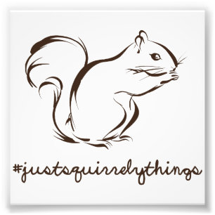 Foto Apenas esquilo das coisas de Squirrely
