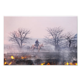 Foto Após o incêndio na Prairie, Colinas Flint, Kansas