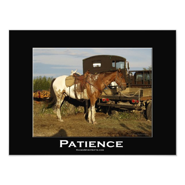 Foto Appaloosa Equine Animal Photo Art Impressão (Frente)