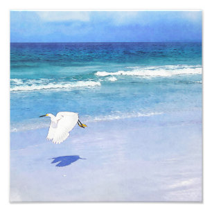 Foto Aquarela Costeira Egret Neve