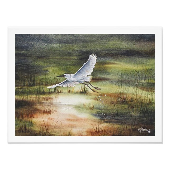 Foto Aquarela da Garça Branca (Frente)