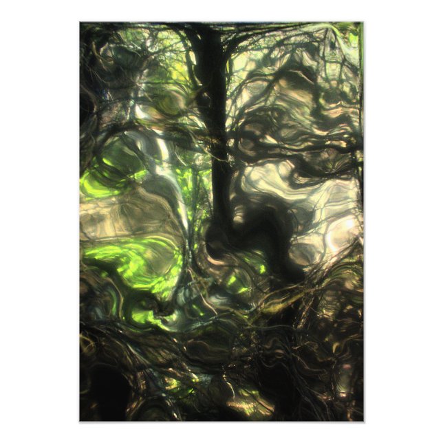 Foto Aquela noite no quarto do Max, uma floresta cresce (Frente)