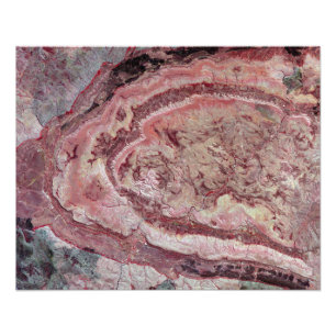 Foto Aranha-Aranha, Austrália Ocidental