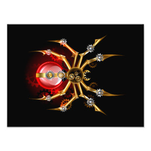 Foto Aranha-do-galo em preto