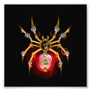 Foto Aranha-do-galo em preto