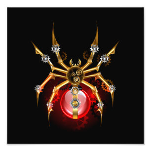 Foto Aranha-do-galo em preto