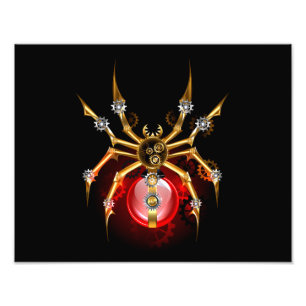 Foto Aranha-do-galo em preto