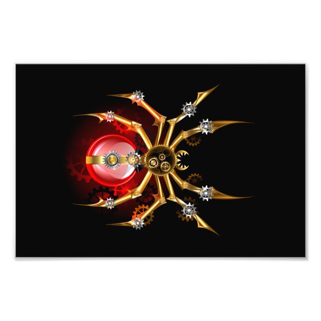 Foto Aranha-do-galo em preto (Frente)