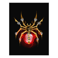 Aranha-do-galo em preto