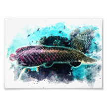 Arapaima Monster Fish Watercolor Pirarucu Paiche