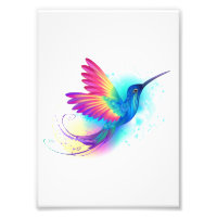 Arco-Íris Exótico Hummingbird