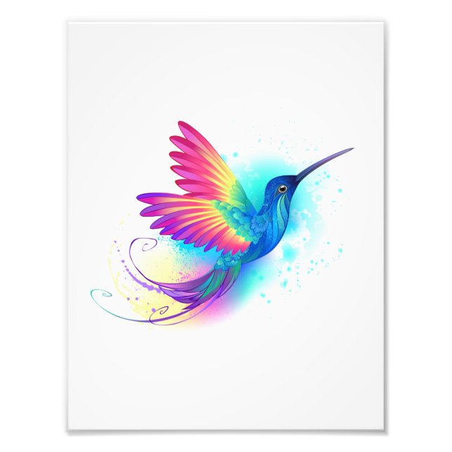 Foto Arco-Íris Exótico Hummingbird (Frente)