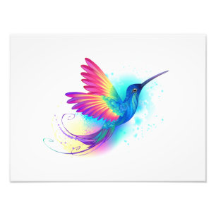 Foto Arco-Íris Exótico Hummingbird