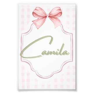 Foto Arco Personalizado de Camila Baby Girl &Gingham