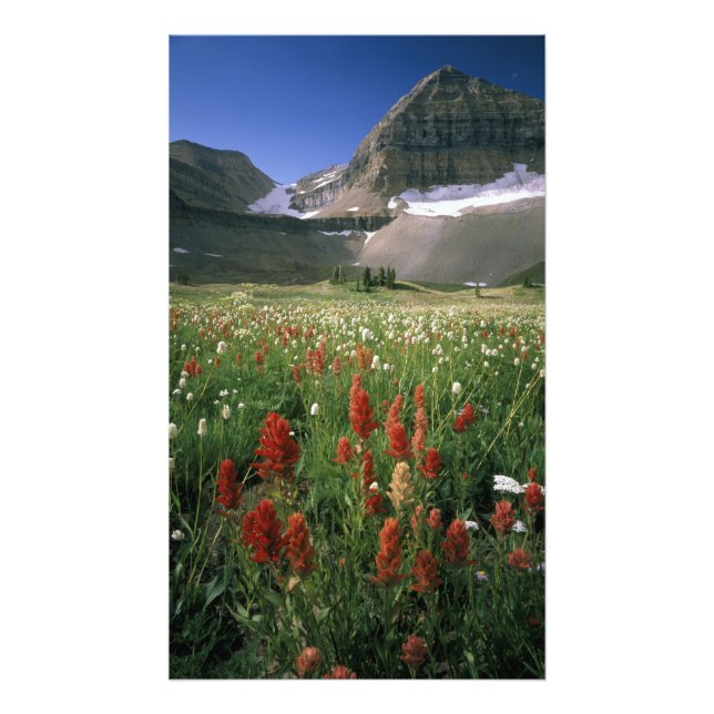 FOTO ÁREA SILVESTRE DE MOUNT TIMPANOGOS, UT, EUA, (Frente)