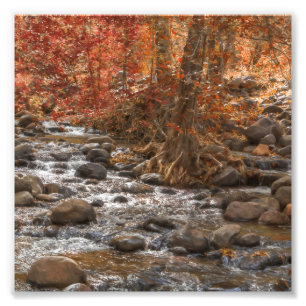 FOTO ARIZONA DE SEDONA DO RIO FLORESTAL DO OUTONO