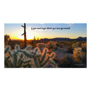 Foto Arizona Desert Sunset Cactus Inspiration Say