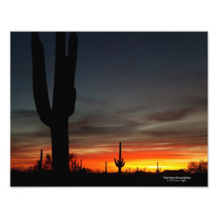 Foto Arizona do por do sol do deserto de Sonoran com