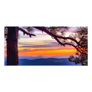 Foto Arizona Sunset Pine Tree Mountains Modo Cênico