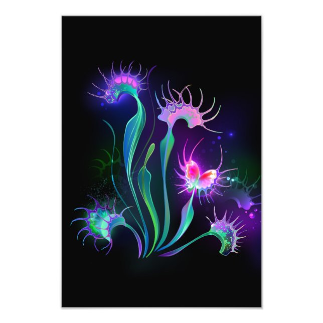 Foto Armando Venus Flytrap (Frente)