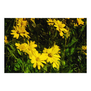 Foto Arrofiraf Balsamroot Yellow Wilflower Abstrato