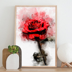 Foto Arte de Aquarela de Rosa Vermelha em Fundo Branco