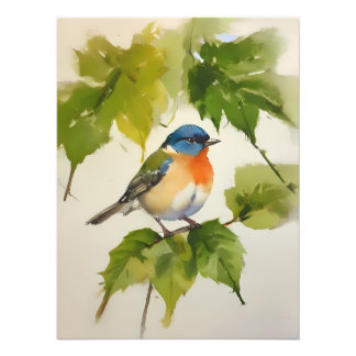 Foto Arte De Aves Coloridas Por Aquarelas - Pintada À M