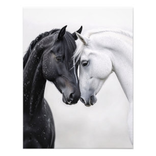 Foto Arte de Cavalo Negro e White Stallion